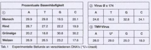 Bilduntertitel eingeben... - (Biologie, Basen)