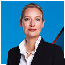 Bild zum Beitrag