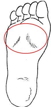 Kannman Muskelkater Am Fuss Haben Oder Ist Es Eine Zerrung Gesundheit Arzt Schmerzen Kannman Muskelkater Am Fuss Haben Oder Ist Es Eine Zerrung Gesundheit Arzt Schmerzen