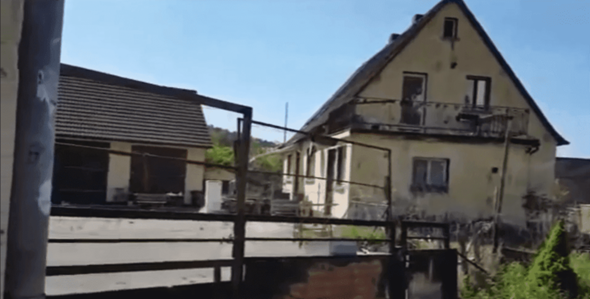 Bild zum Beitrag