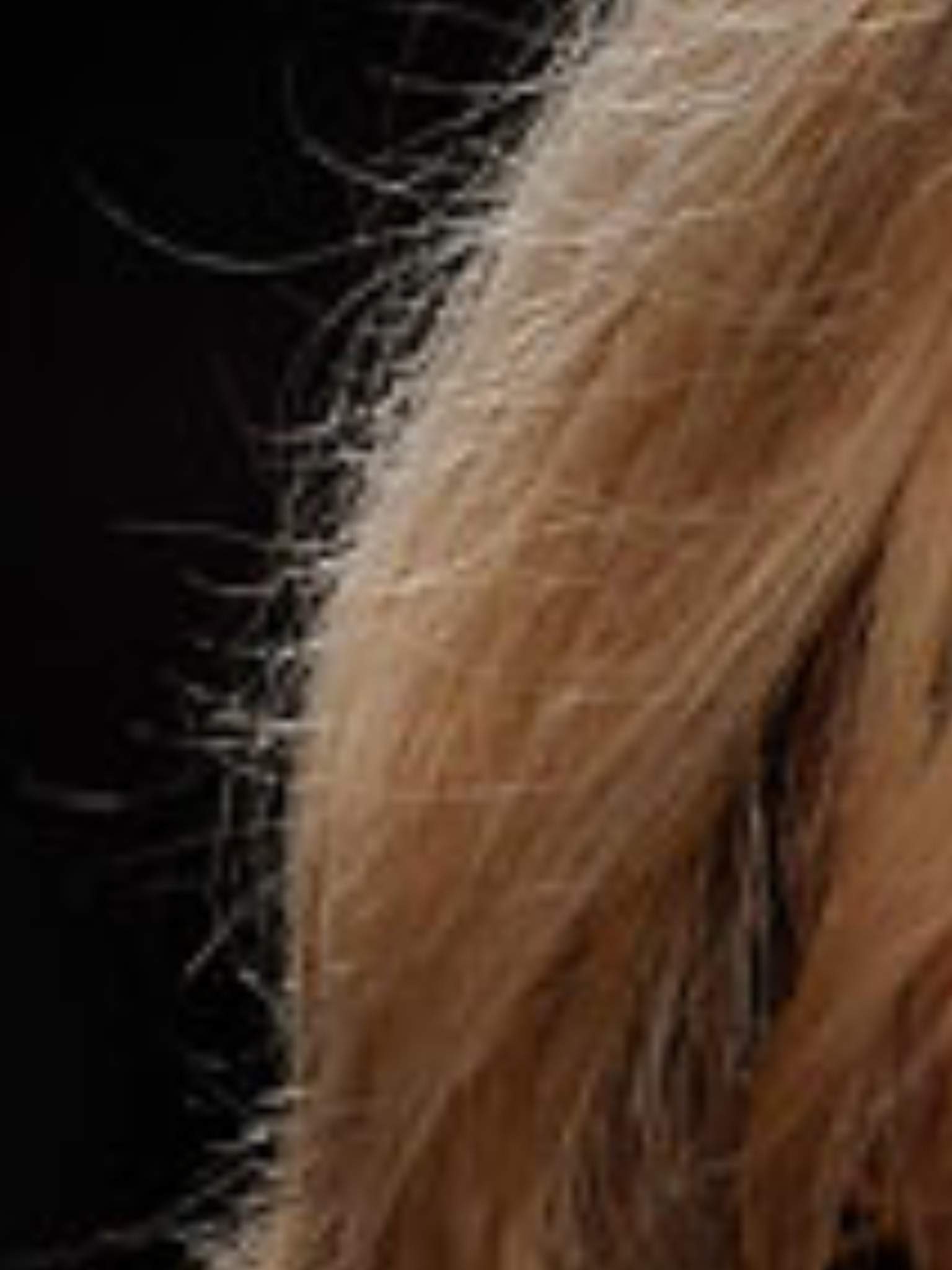 Kaputte Haare Durch Mandel l Besser kaputt Spitze Frizz kaputte-haare-durch-mandel-l-besser-kaputt-spitze-frizz