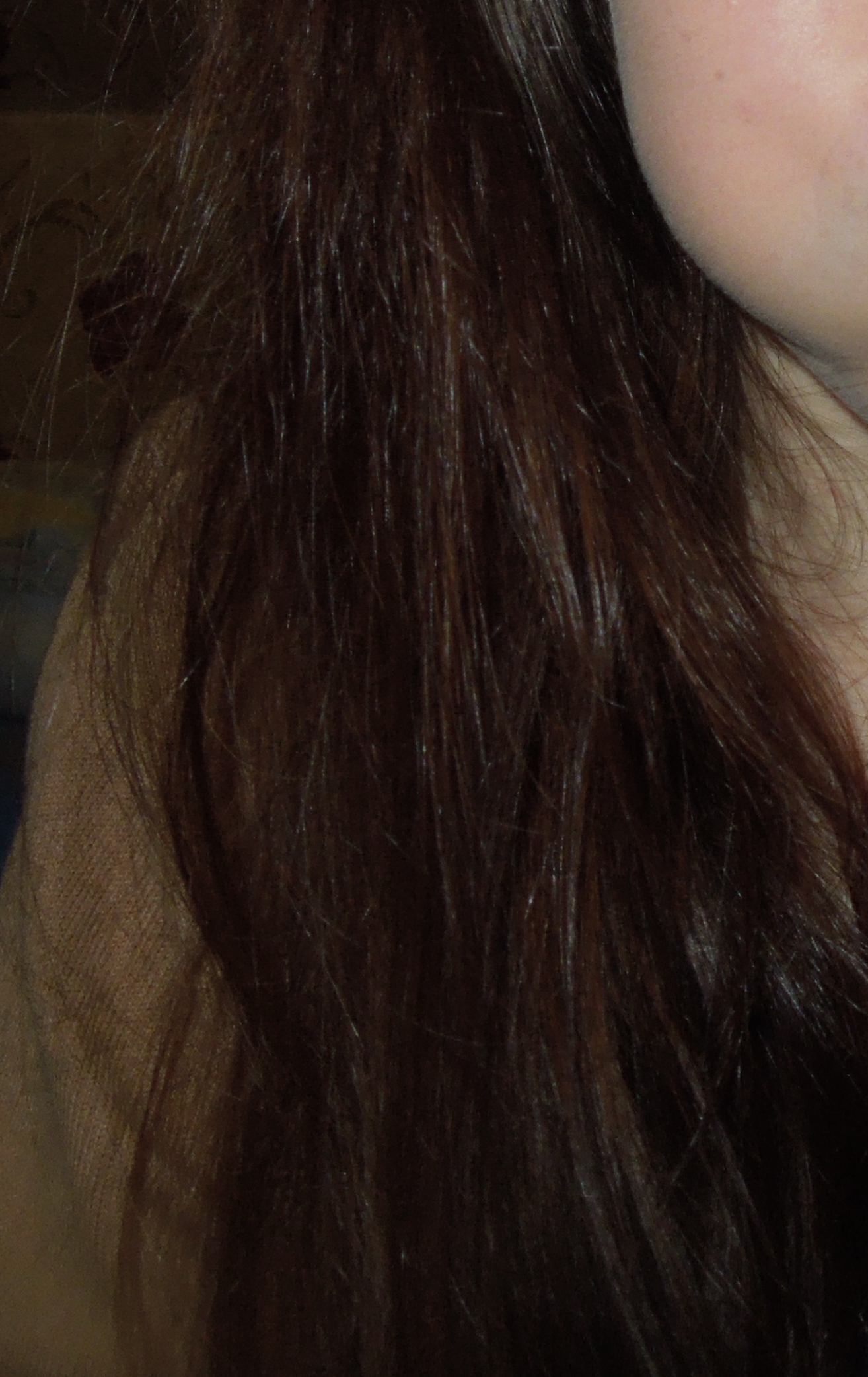 kaputte haare trotz pflege bitte hilfe