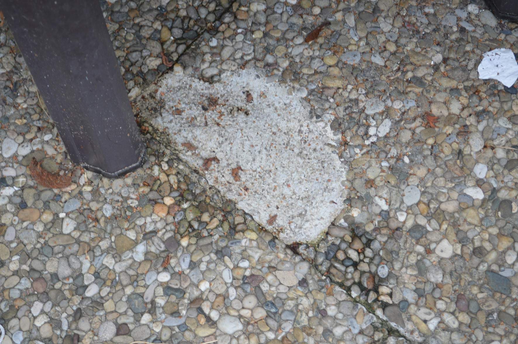 Kaputte Terrassen platten! (Garten, kaputt, Vermieter)