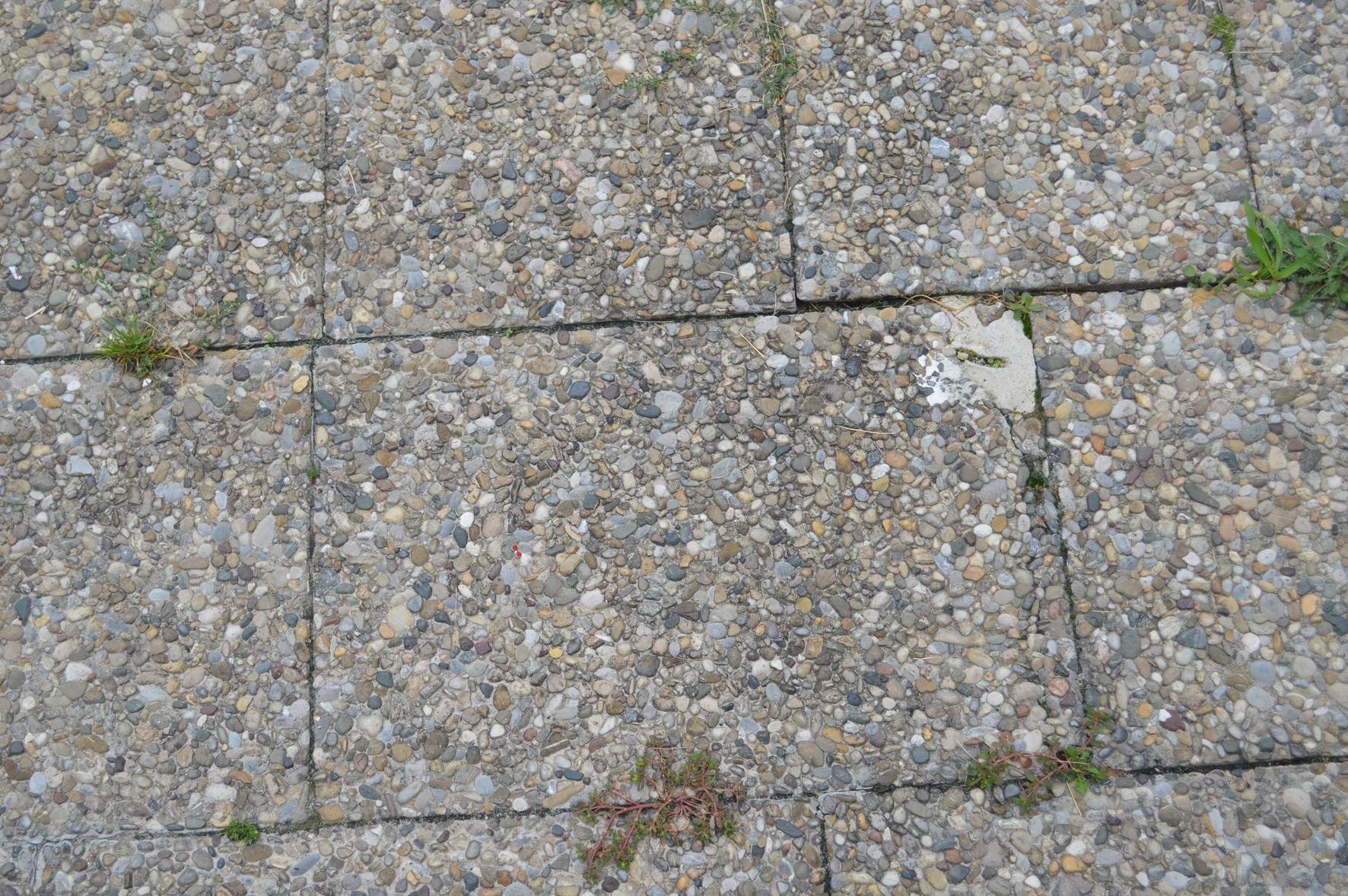 Kaputte Terrassen platten! (Garten, kaputt, Vermieter)