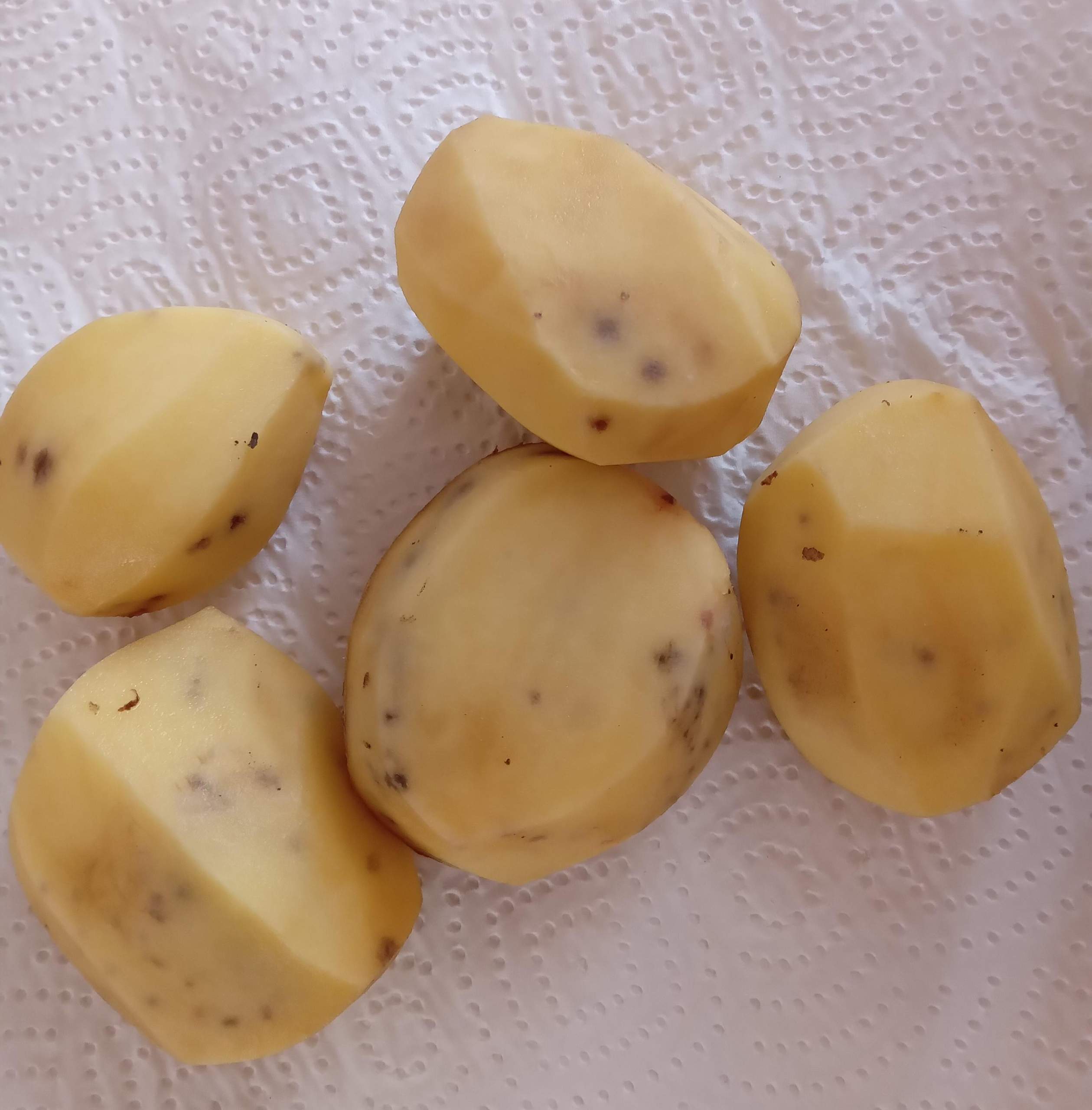 Kartoffel? (Krankheit, Kartoffeln) Kartoffel? (Krankheit, Kartoffeln)