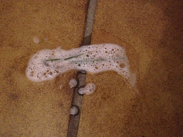 kater erbricht merkwurdig gesundheit und medizin ernahrung tiere