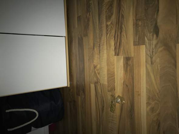 Katze Erbricht Und Schreit Tiergesundheit