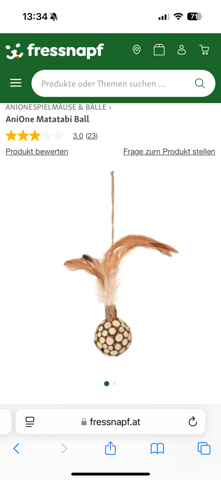 Bild zum Beitrag