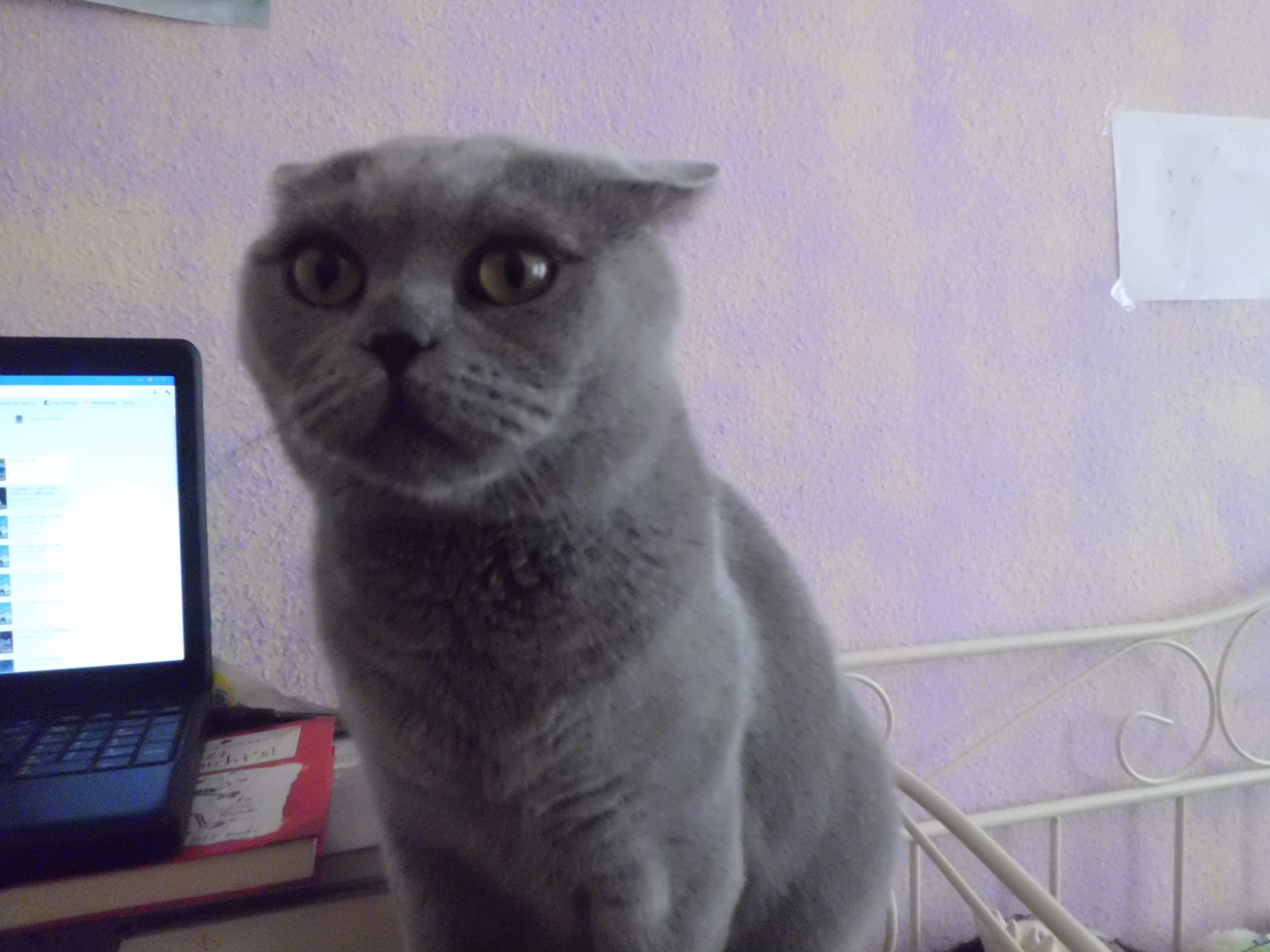 Er hat gefühle für eine andere frau Er hat gefühle für eine andere frau