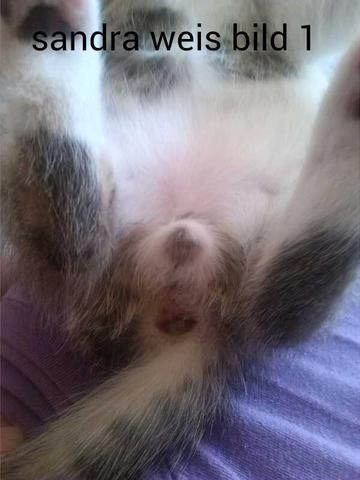 Themen kostenlos Themen kostenlos