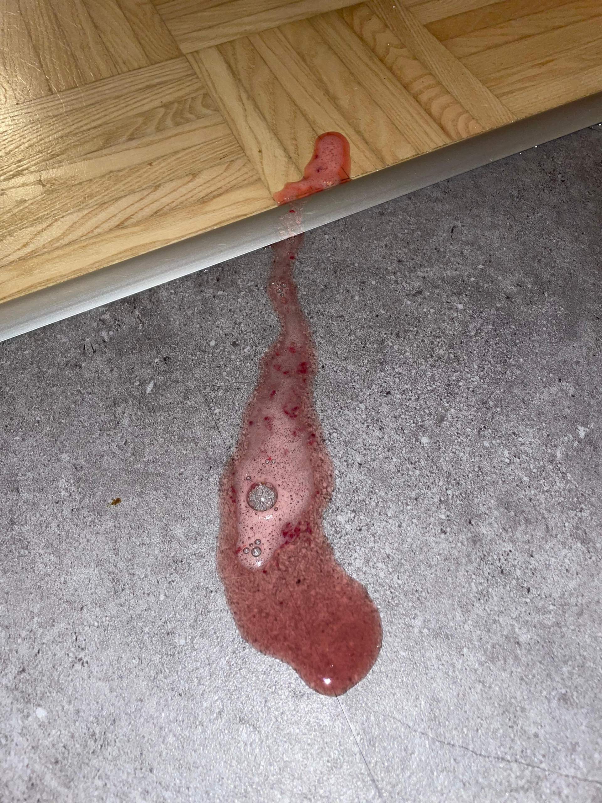 katze krankheiten? (Krankheit, Tierarzt)