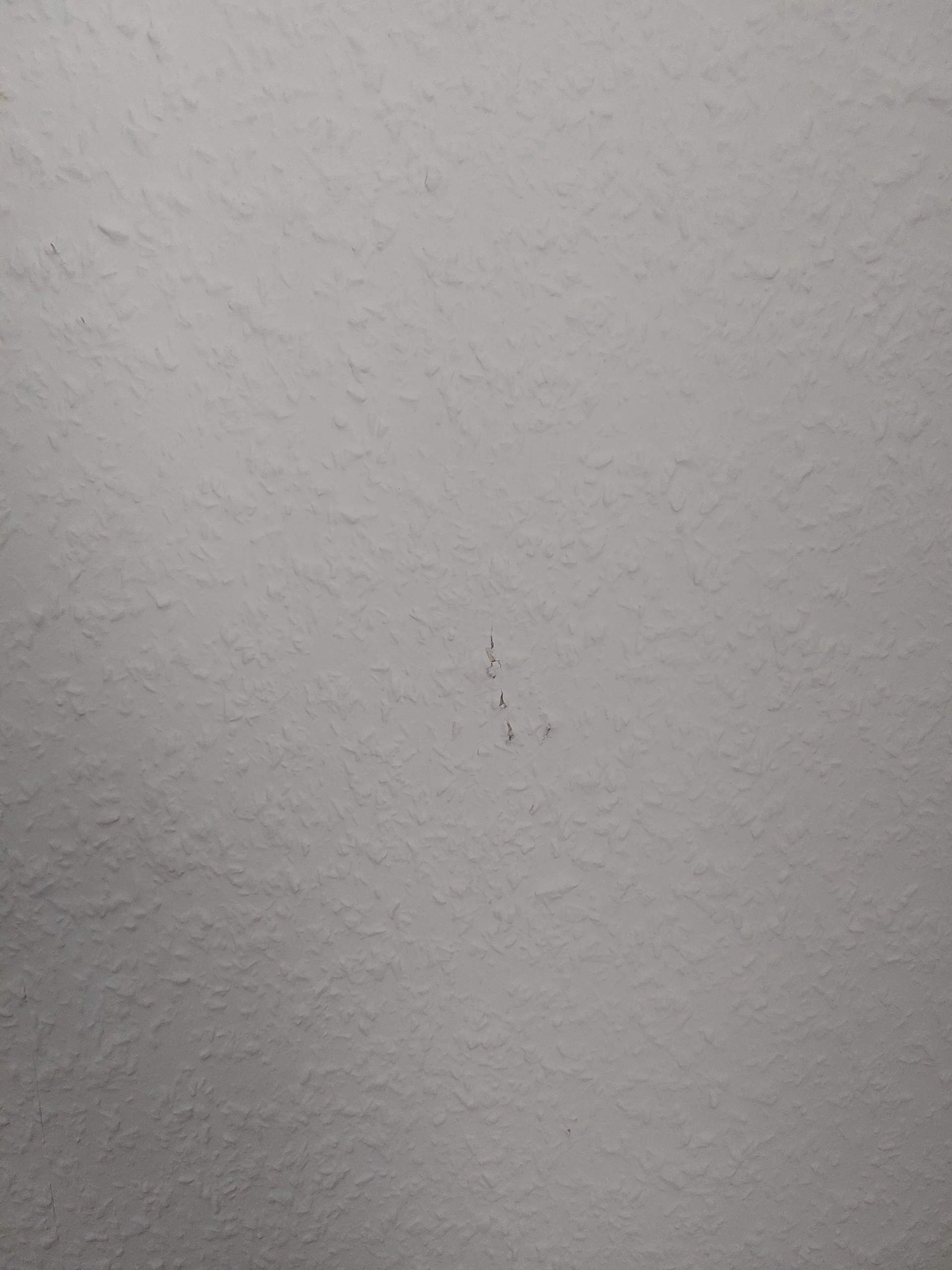 Katze kratzt an Wand? (kratzen)