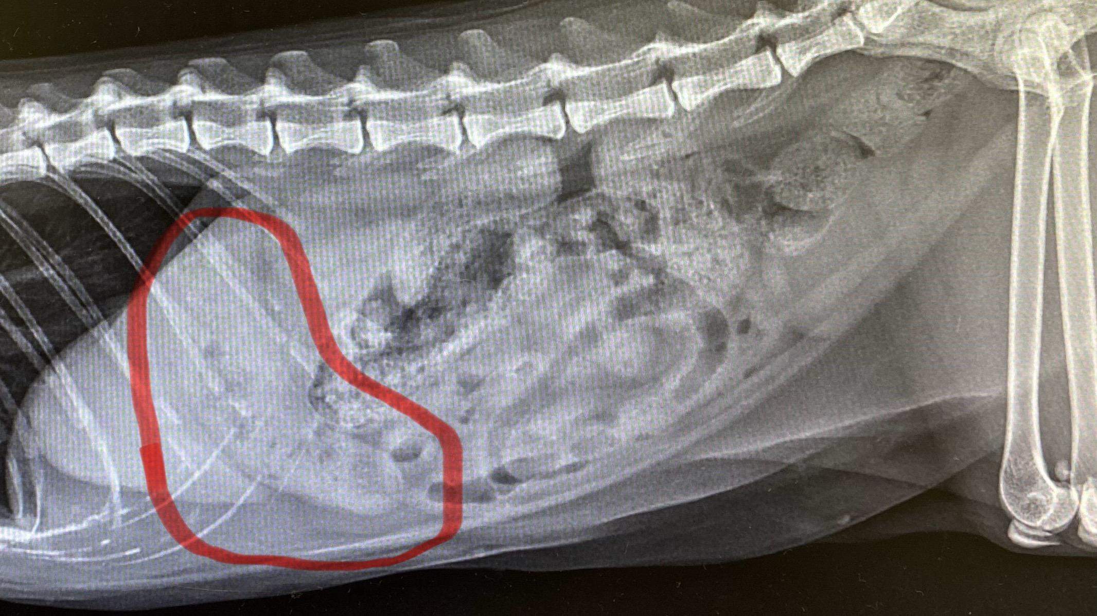 Die Geheimnisse eines perfekten Home Office Die Geheimnisse eines perfekten Home Office