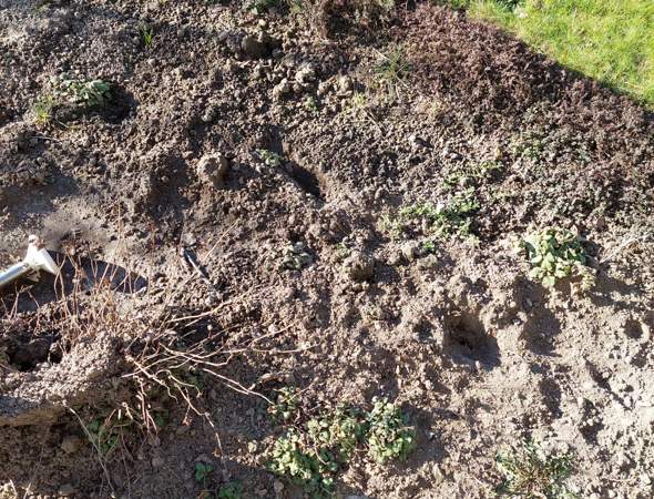 Bild zum Beitrag