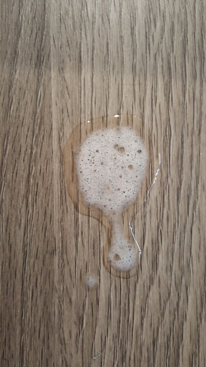 katze spucke kotze weisse flussigkeit gefunden was ist das gesundheit und medizin tiere haustiere