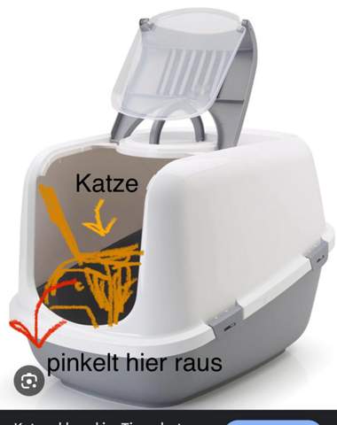 Bild zum Beitrag