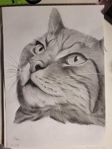Katze zeichnung?
