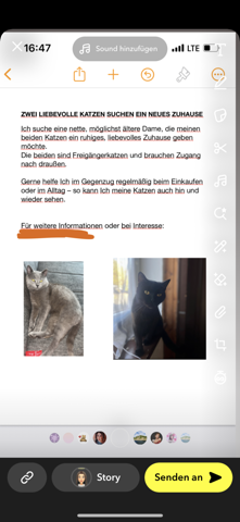 Bild zum Beitrag