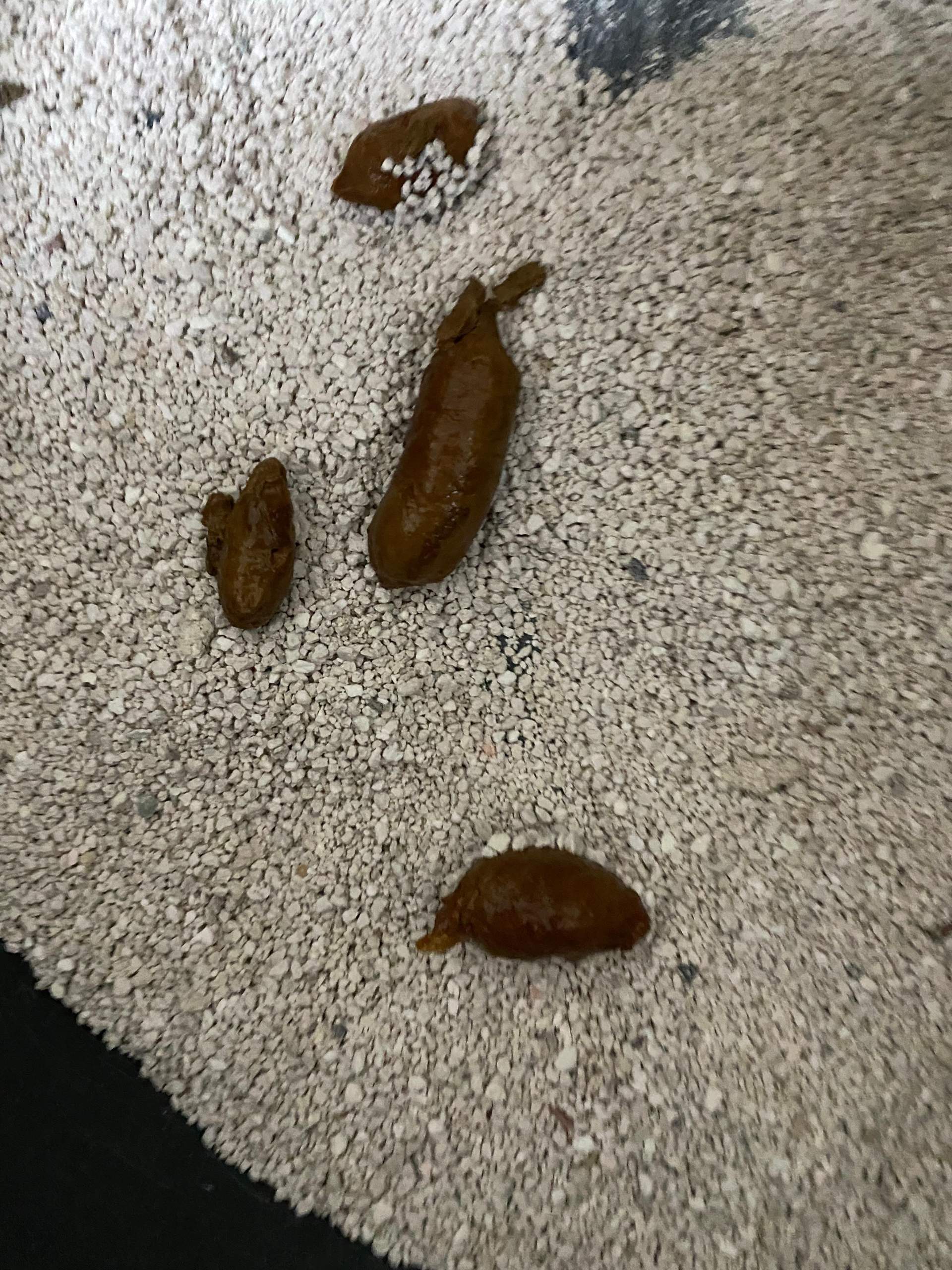 Nachhaltig leben im Alltag: Kleine Schritte, große Wirkung Nachhaltig leben im Alltag: Kleine Schritte, große Wirkung