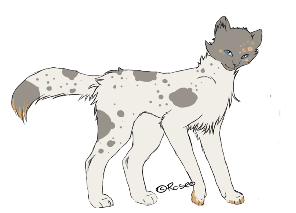 Katzen Zeichnen Wie Verbessern Grafik Charakter Malen