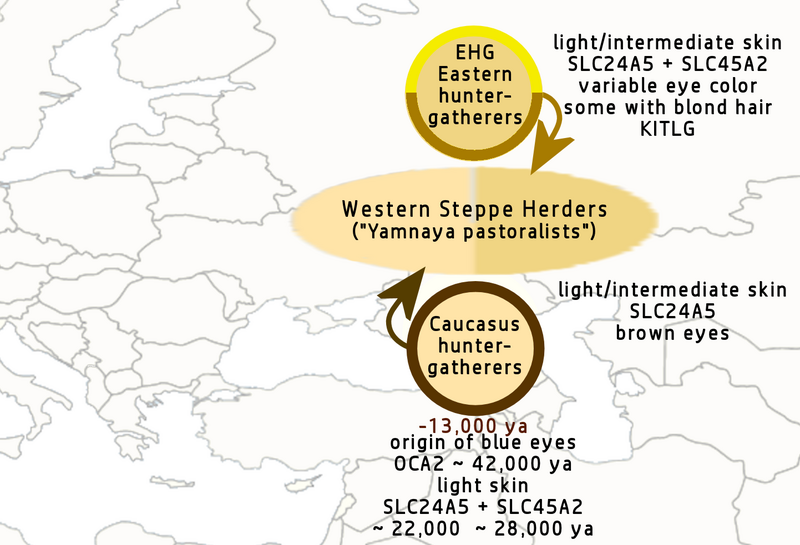 Kaukasier Sind Direkte Vorfahren Der Arier Krieg Europa Rassismus kaukasier-sind-direkte-vorfahren-der-arier-krieg-europa-rassismus