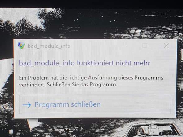 Bild zum Beitrag