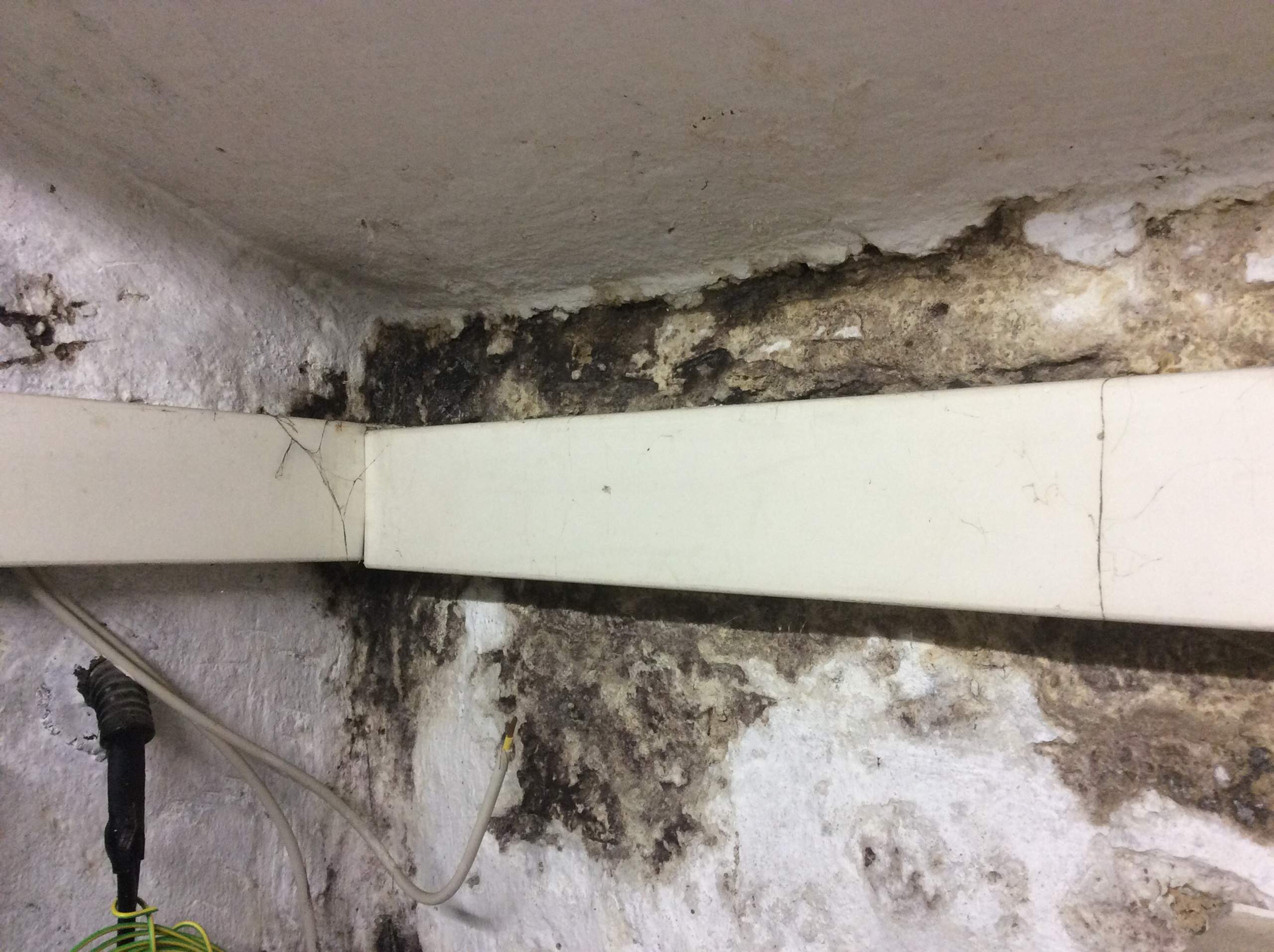 Keller bewohnbar machen (trocken)