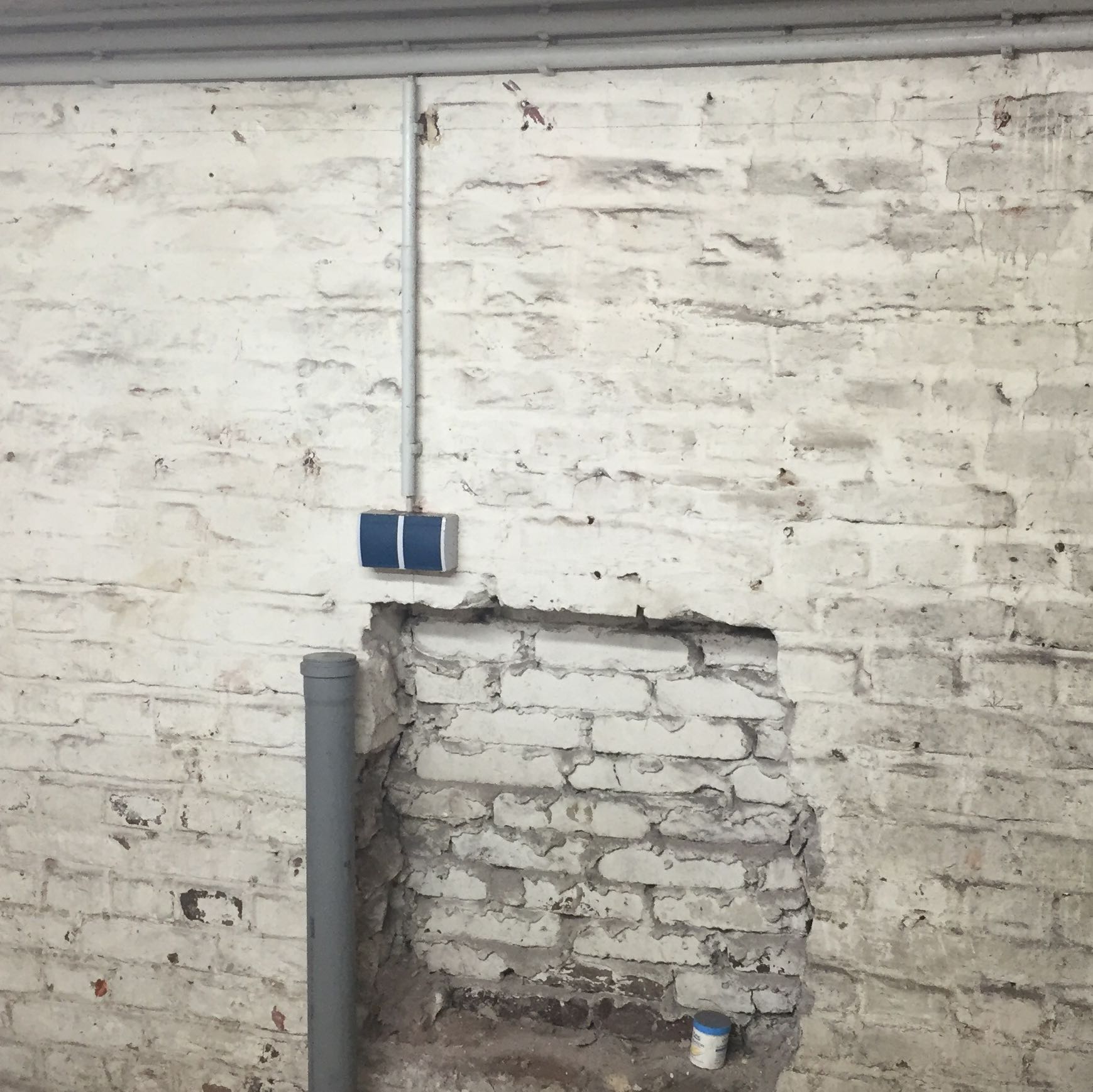 Keller Renovieren Farbe von der Wand bekommen?