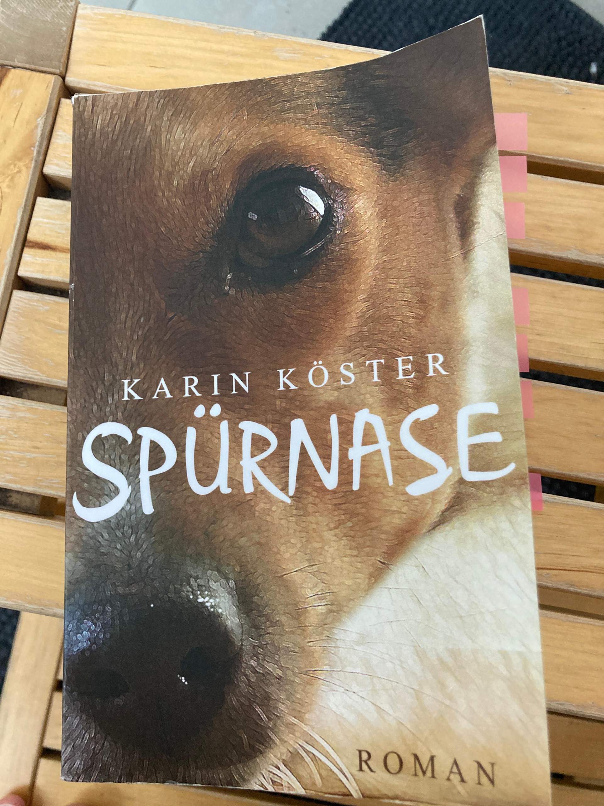 weil sie dich kennt buch