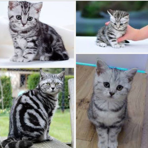 wenig haar verlieren bzw wenig haare