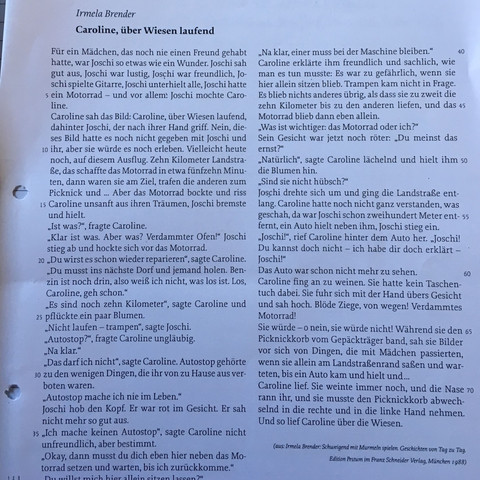 Das ist die kg - (Nachhilfe, Interpretation, Kurzgeschichte)