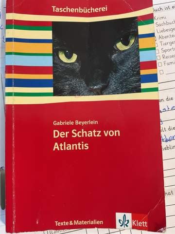 Bild zum Beitrag