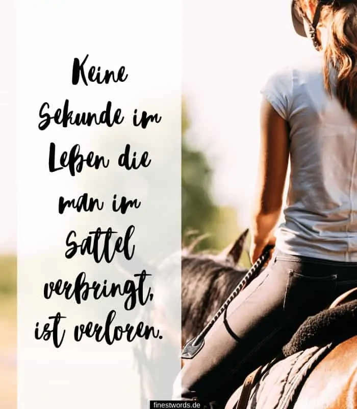 Kennt jemand schöne Pferdesprüche? (Liebe, Liebe und Beziehung, Tiere)