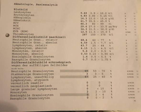kennt sich jemand mit Blutwerten aus? (Gesundheit und Medizin, Blut)