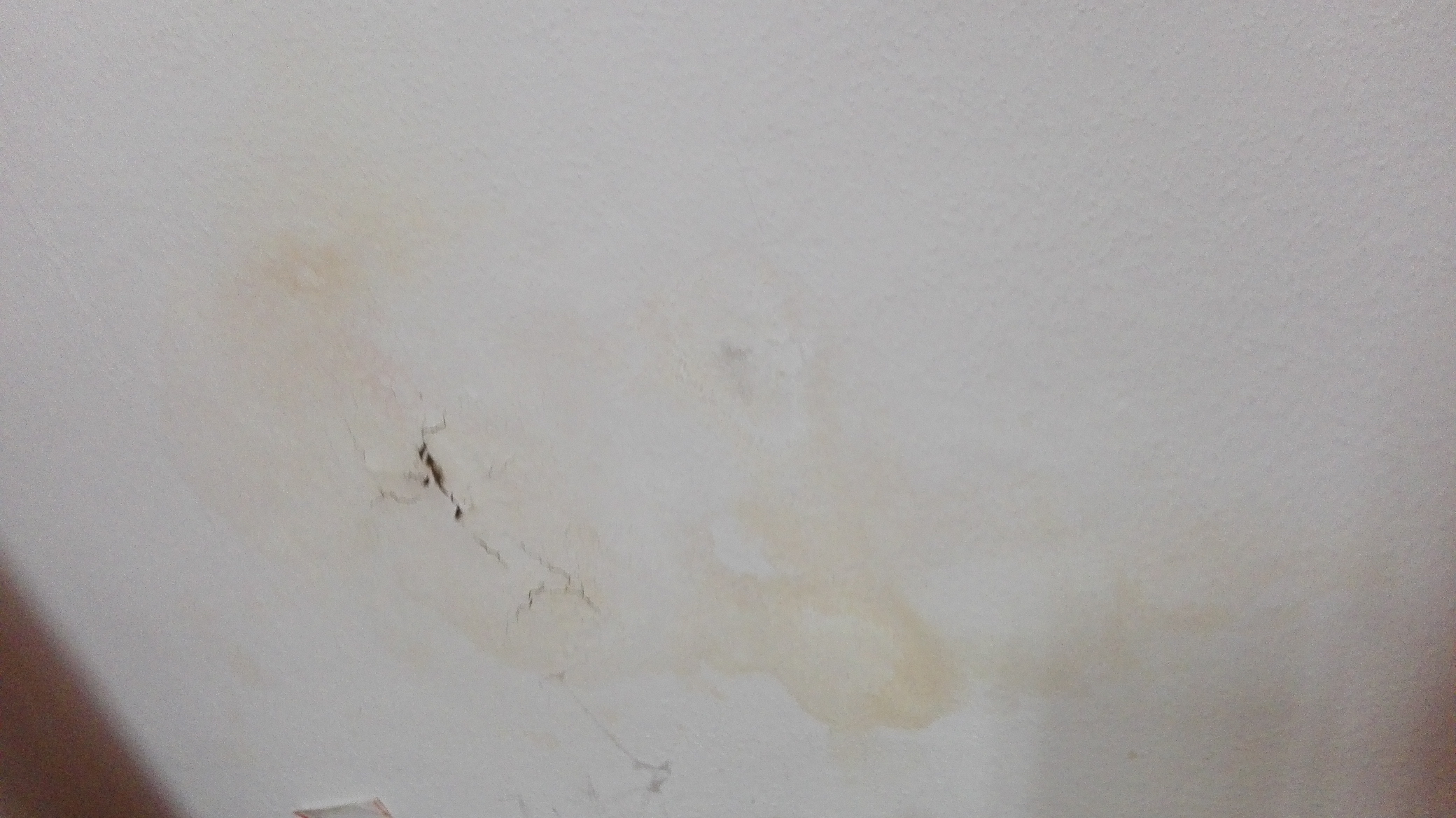 Kennt Sich Jemand Mit Schimmel An Der Wand Aus Ist Das Gelber Schimmel Gesundheit Und Medizin Gesundheit Wohnung