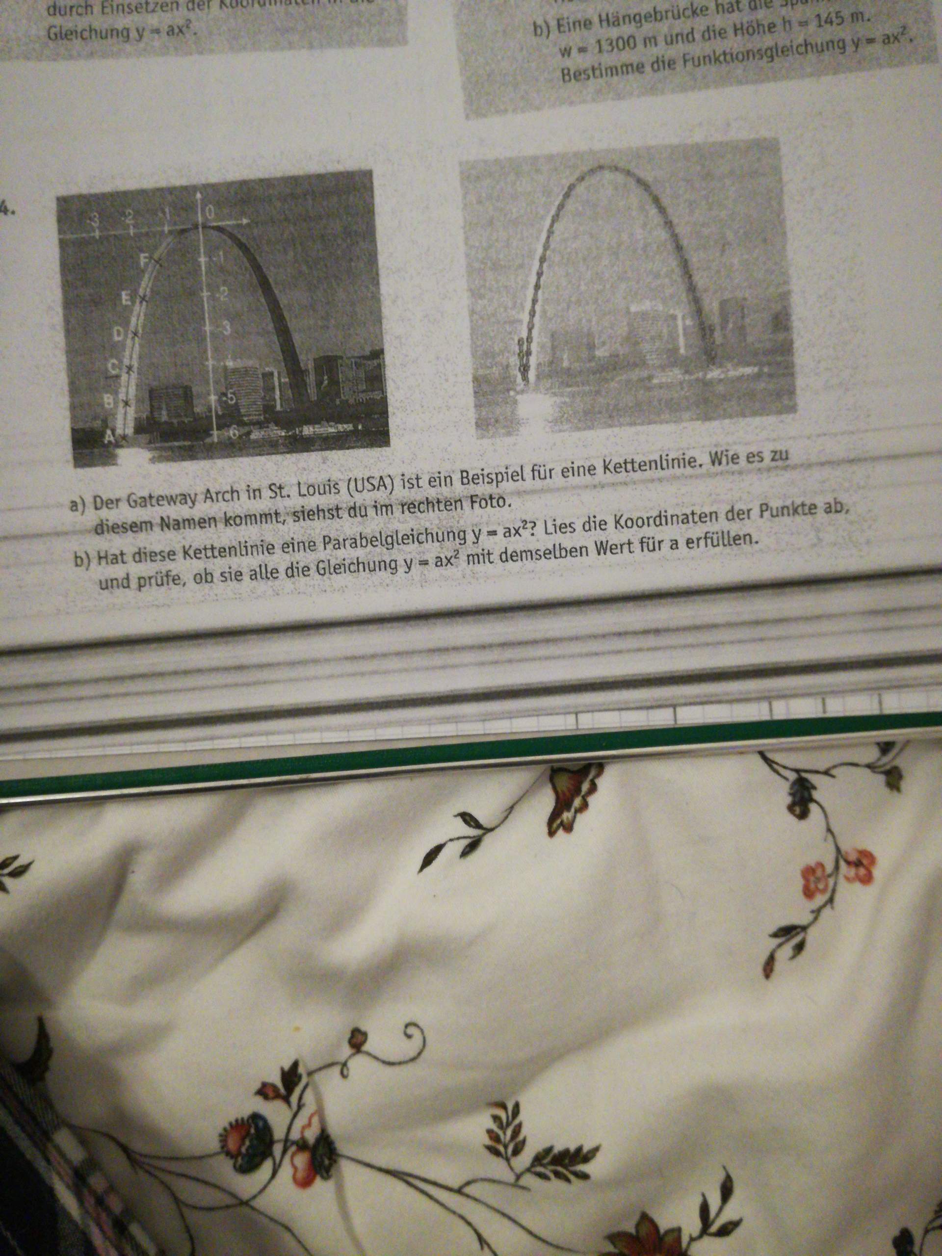 kettenlinie in Mathe? (Schule, Mathematik)