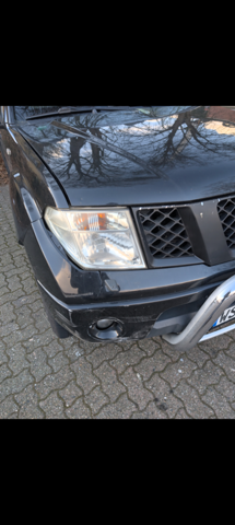 Bild zum Beitrag