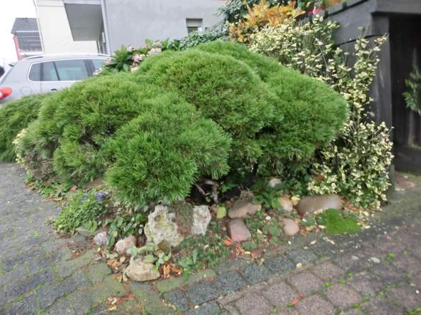 Bild zum Beitrag