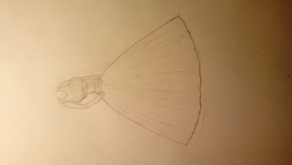 Kleider Perfecto Kleidung Kleid Zeichnen