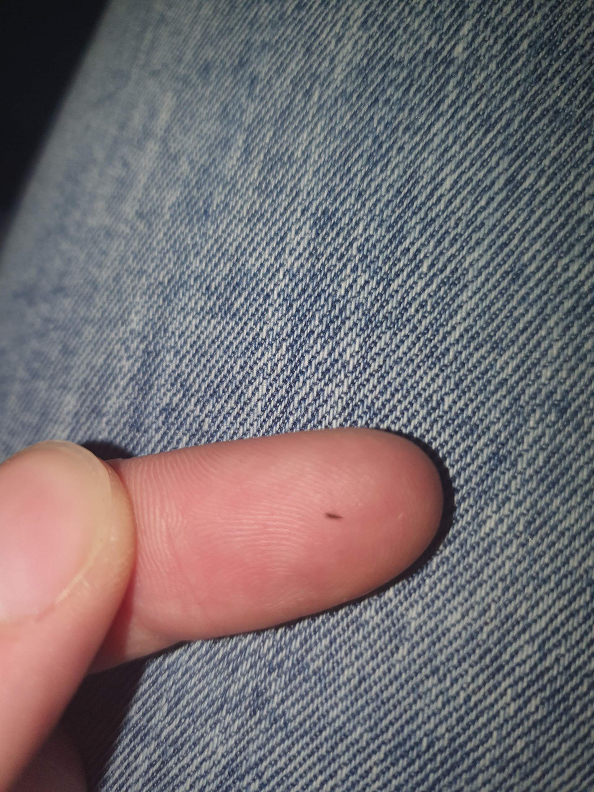 Kleine schwarze Fliegen/Käfer auf der Haut? (Tiere, Insekten, Fliege) Kleine schwarze Fliegen/Käfer auf der Haut? (Tiere, Insekten, Fliege)