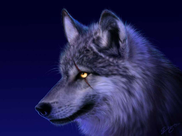 Wolf mit Narbe - (Werwolf)