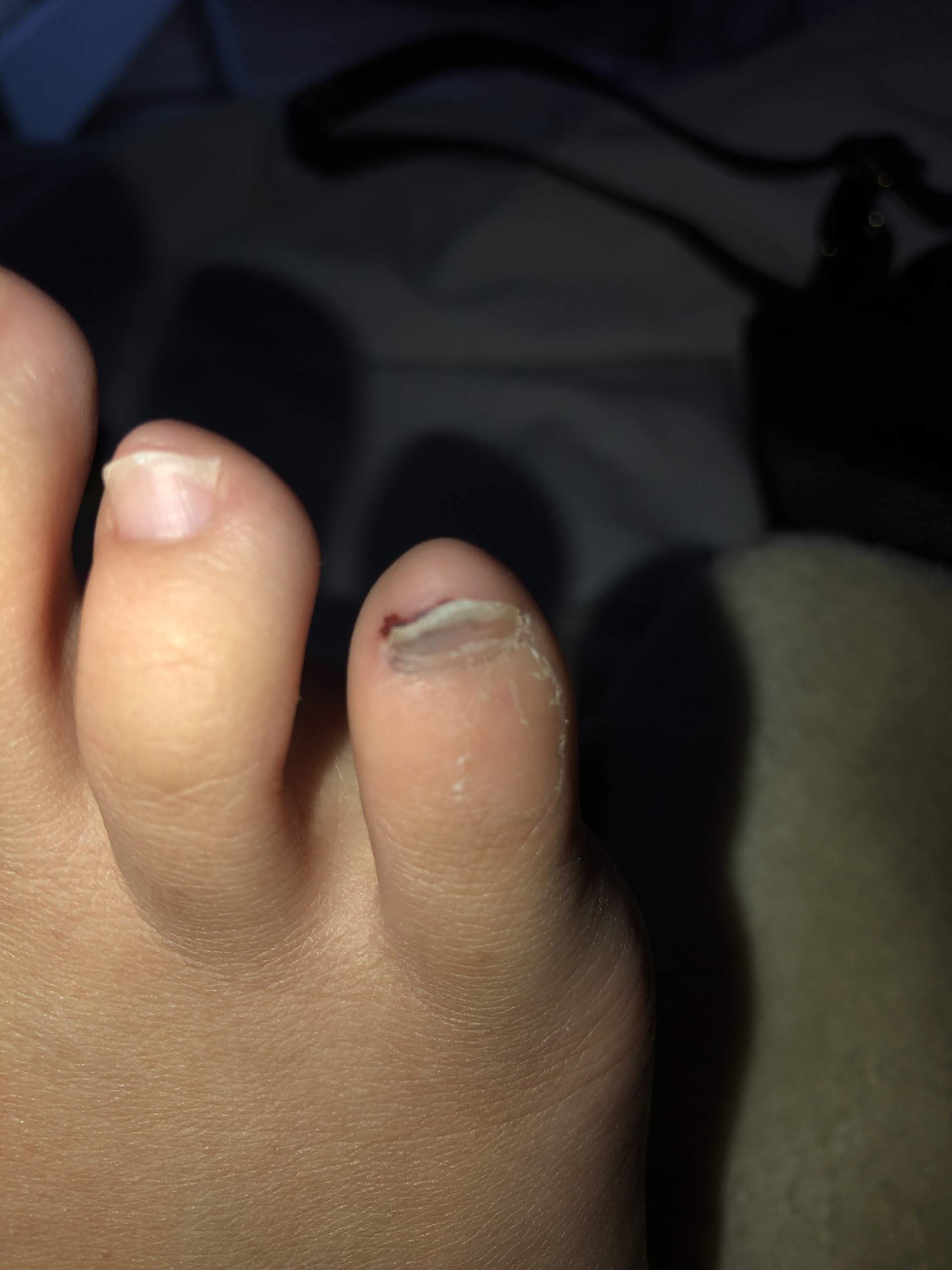 9mamf0rnykptnm 9mamf0rnykptnm