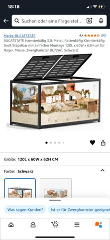 Bild zum Beitrag
