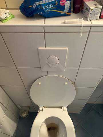 Bild zum Beitrag