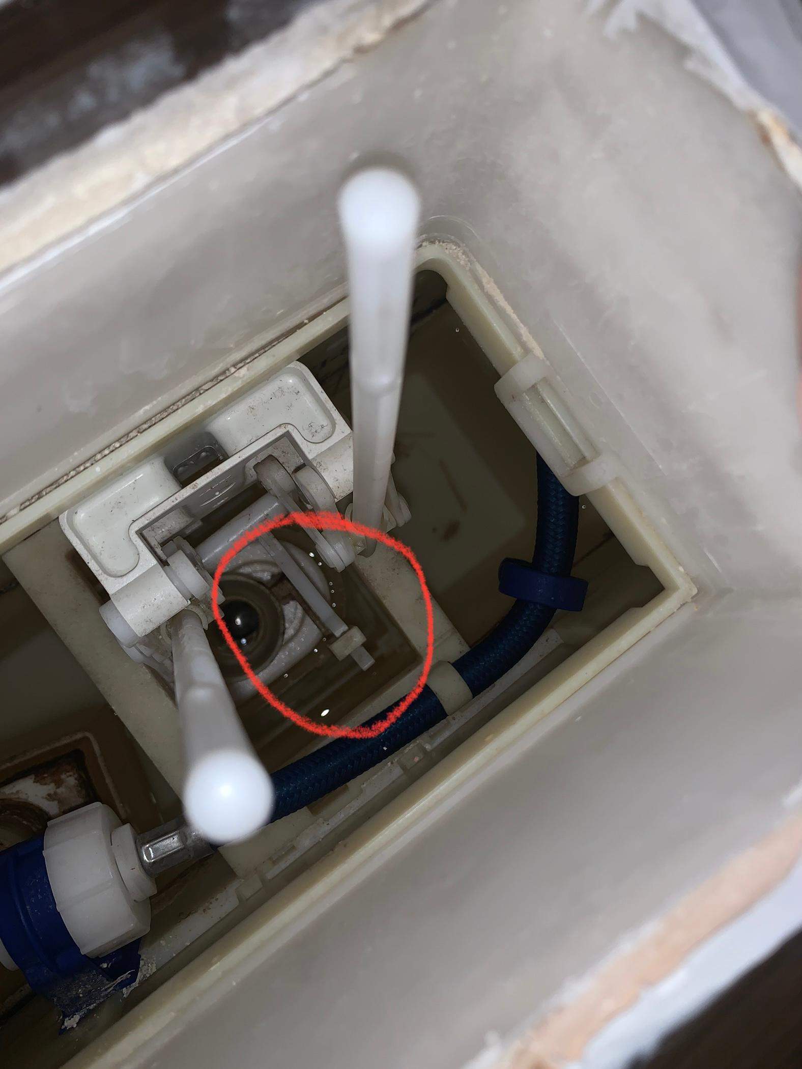 Klospülung geht nicht richt liegt es da dran? (Wasser, Toilette)