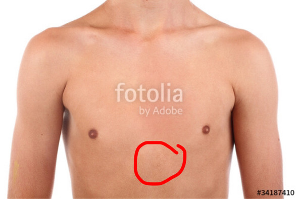 Brustkorb Markierung  - (Gesundheit, Körper, Bauch)