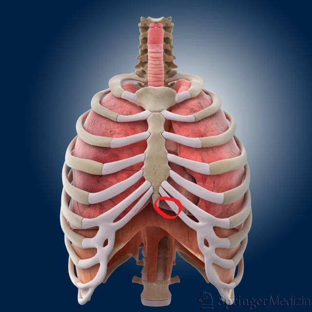 Knuppel neben der Rippe? Oder gehört das zur Anatomie? (Medizin)