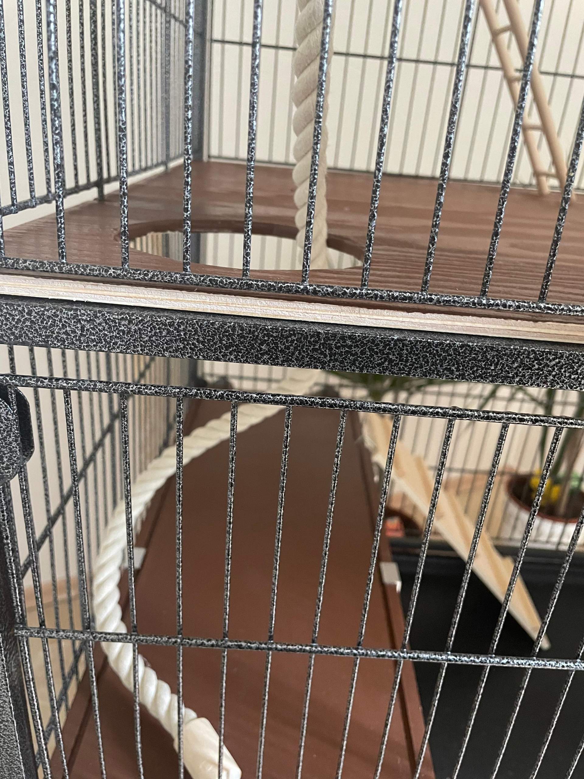 Können Farbratten hier hochklettern hochklettern? (Haltung, Ratten, Nagetiere)