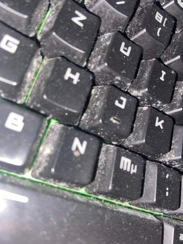 Können Tastaturen schimmeln?