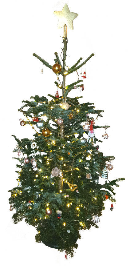 Wo Kann Man Das Oneplus 6 Kaufen Können wir dieses "Weihnachtslied" unseres Sängers wirklich